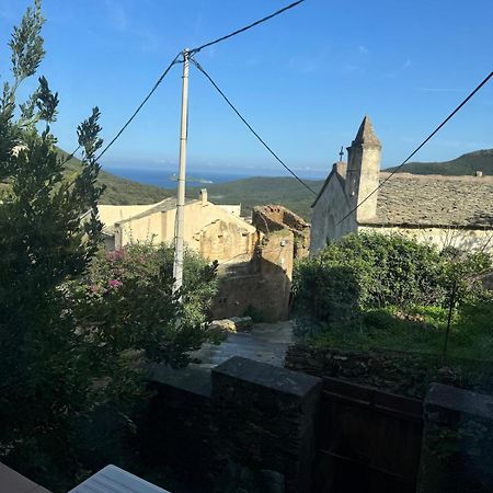 Joli T2 In Cap Corse Leilighet Ersa Eksteriør bilde